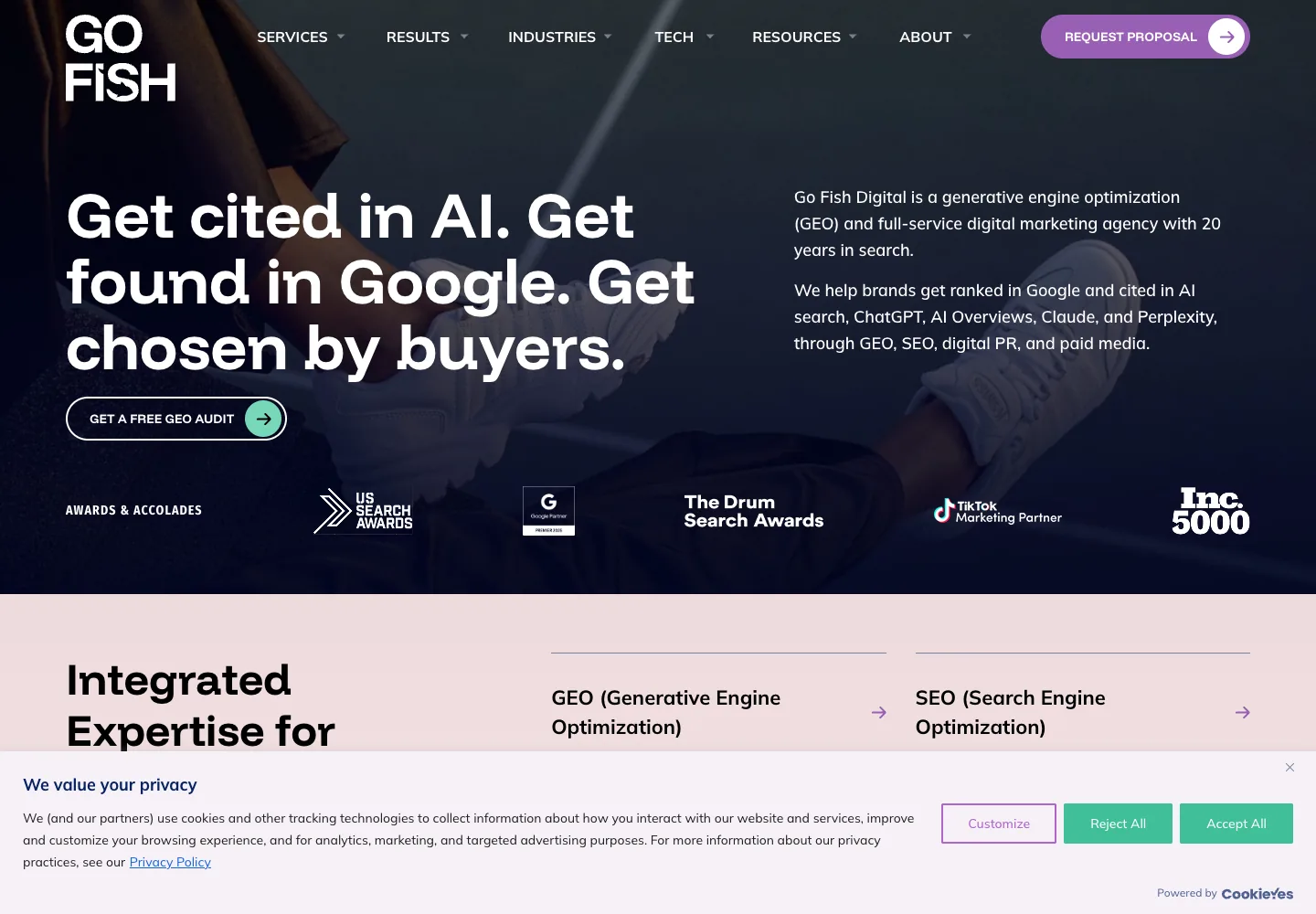 Go Fish Digital homepage showing its navigation and opening service presentation