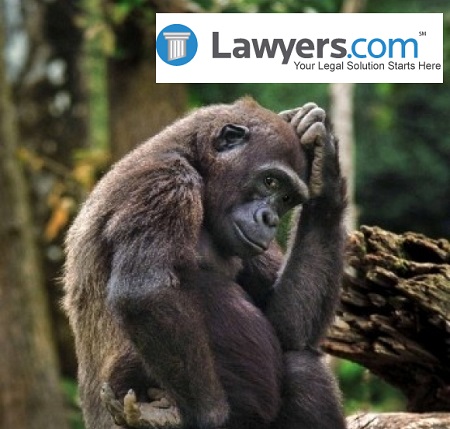 l-The-Gorilla-Thinkin-bout-lawyers-dot-com
